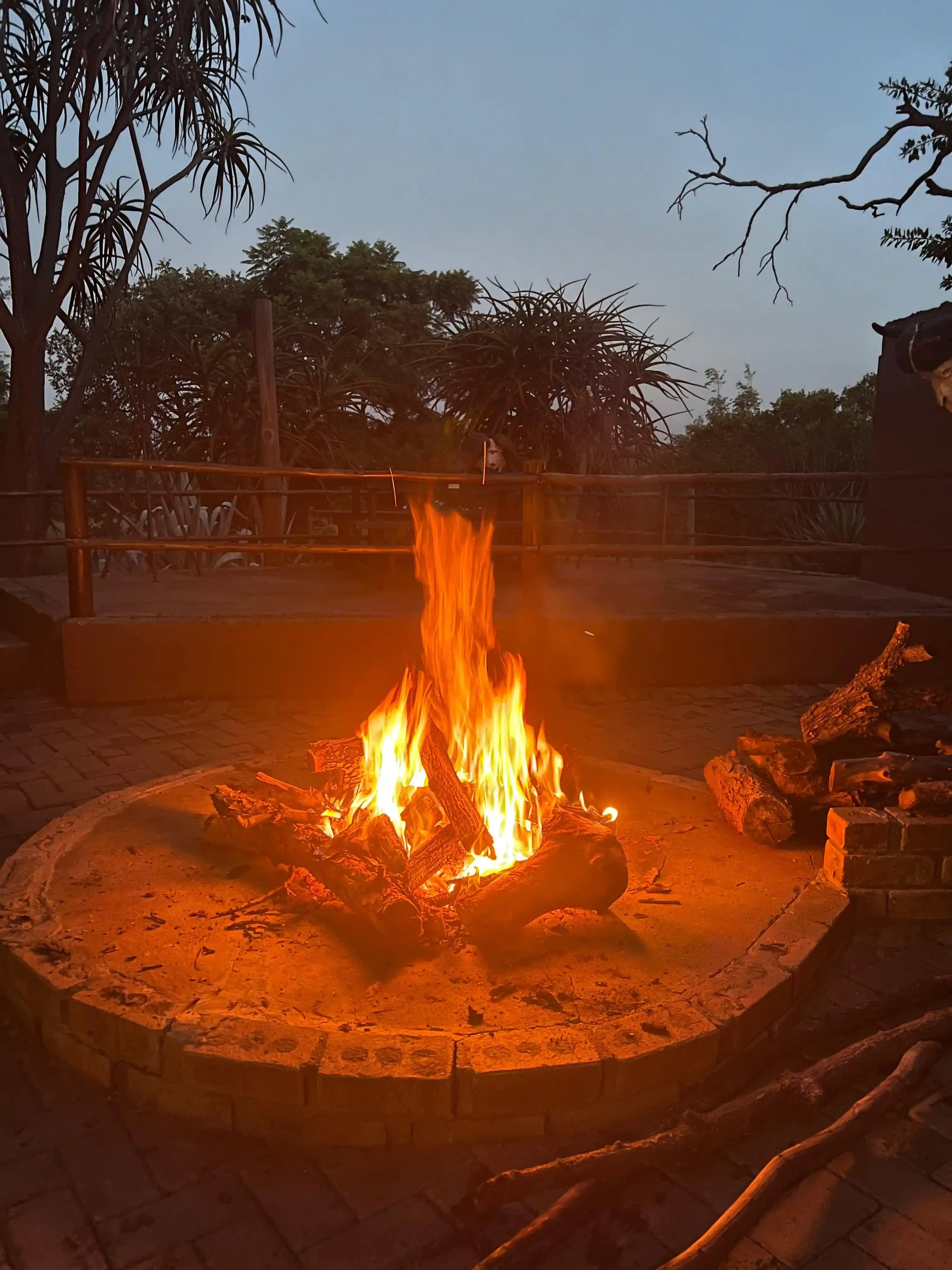 Curso de Cazador Profesional - Imagen 17